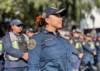 Entre el derecho a protestar y la seguridad pública