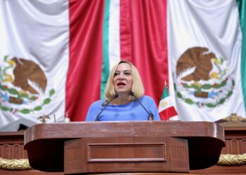 Olivia Garza: “El Gobierno capitalino simula apertura con el Plan de Desarrollo”