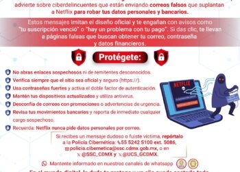 Falsos avisos de Netflix ponen en alerta a usuarios