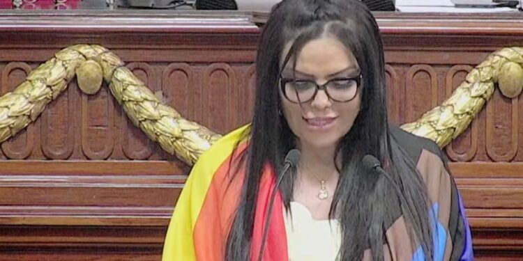 Hay avances para la comunidad trans, pero urgen reformas para familias diversas: Diputada