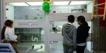 Congreso cierra paso a criadores irregulares