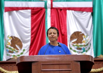 Contra el influyentismo en Protección Civil, Liz Salgado exige perfiles técnicos