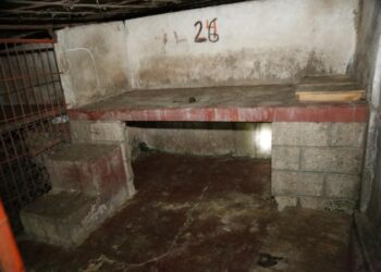 Entre promesas y desconfianza: el caso del Refugio Franciscano abre grieta con el movimiento animalista