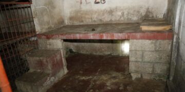 Entre promesas y desconfianza: el caso del Refugio Franciscano abre grieta con el movimiento animalista