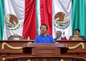 Bienestar animal no puede usarse para ocultar conflictos inmobiliarios: Liz Salgado