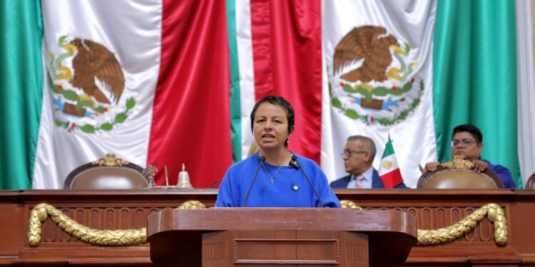 Bienestar animal no puede usarse para ocultar conflictos inmobiliarios: Liz Salgado