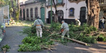 Retiran casi 2 mil toneladas de basura y desazolvan drenaje en Cuauhtémoc