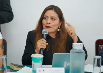 “La verdad del ciudadano está por encima”: Yolanda García exhibe crisis en Tláhuac