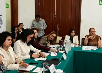 Paulina Pérez exige reforzar combate al maltrato animal en Tlalpan