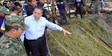 Comienza recuperación del lago en el Parque Ecológico Huayamilpas