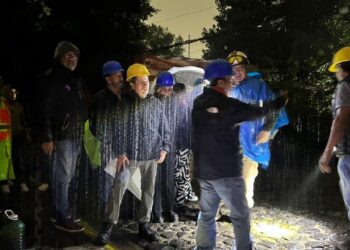 Árbol derriba seis postes y desata emergencia en Coyoacán