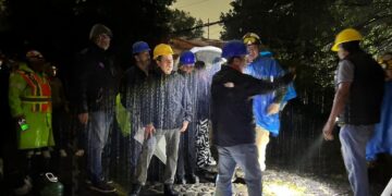 Árbol derriba seis postes y desata emergencia en Coyoacán