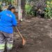 Histórica Plaza de la Conchita, preserva su identidad con rehabilitación