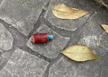 Hallan longaniza con píldora azul en Parque España